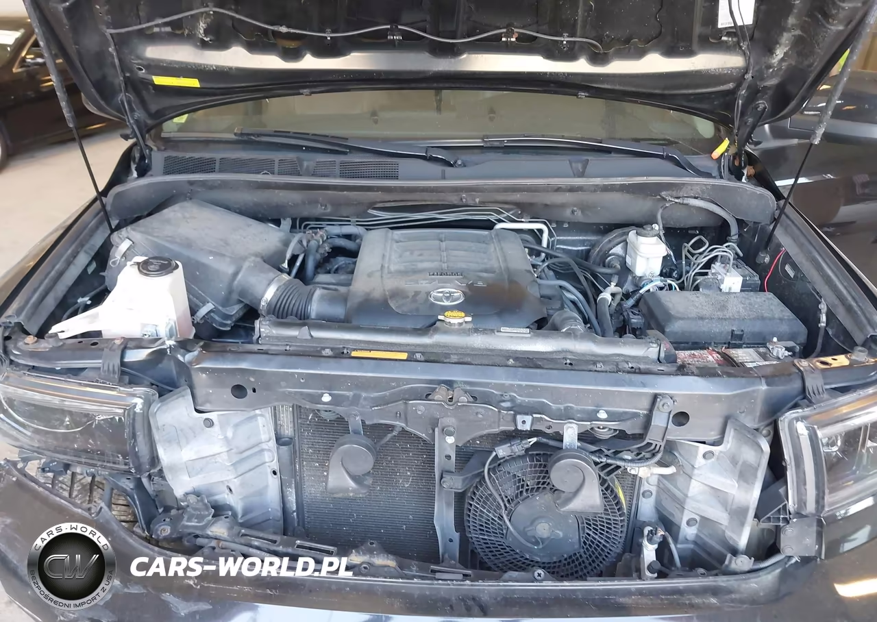 2013 Toyota Sequoia Platinum 5.7L V8 VIN:5TDDY5G12DS079809 - 10