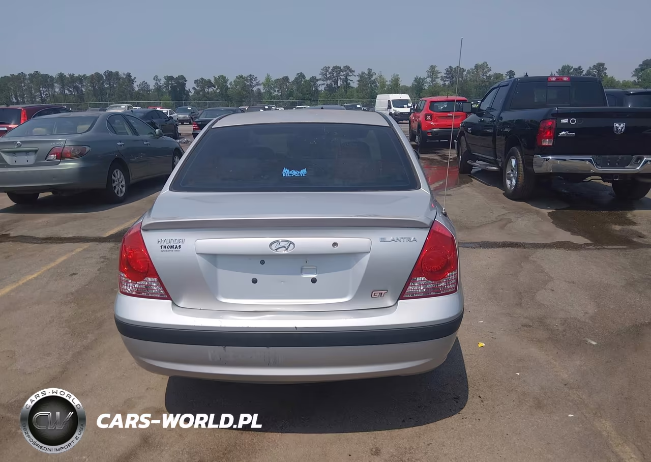 2004 Hyundai Elantra Gls-Gt VIN:KMHDN46D14U891155 - 16