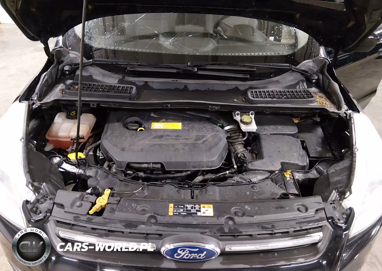 2016 Ford Escape Se VIN:1FMCU9GX3GUA88114 - 10