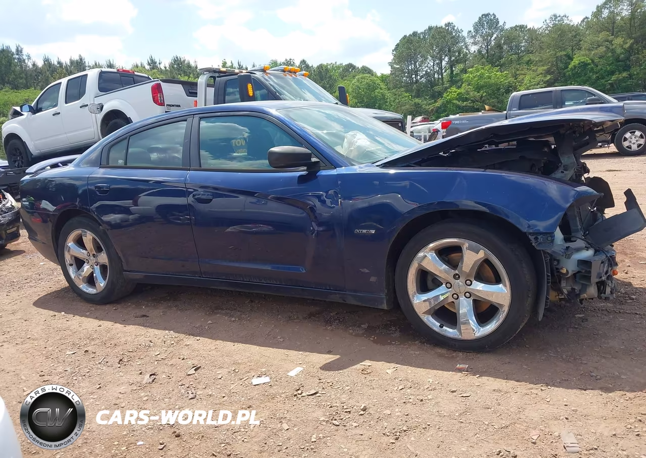2014 Dodge Charger R-T Max VIN:2C3CDXCT5EH155313 - 13