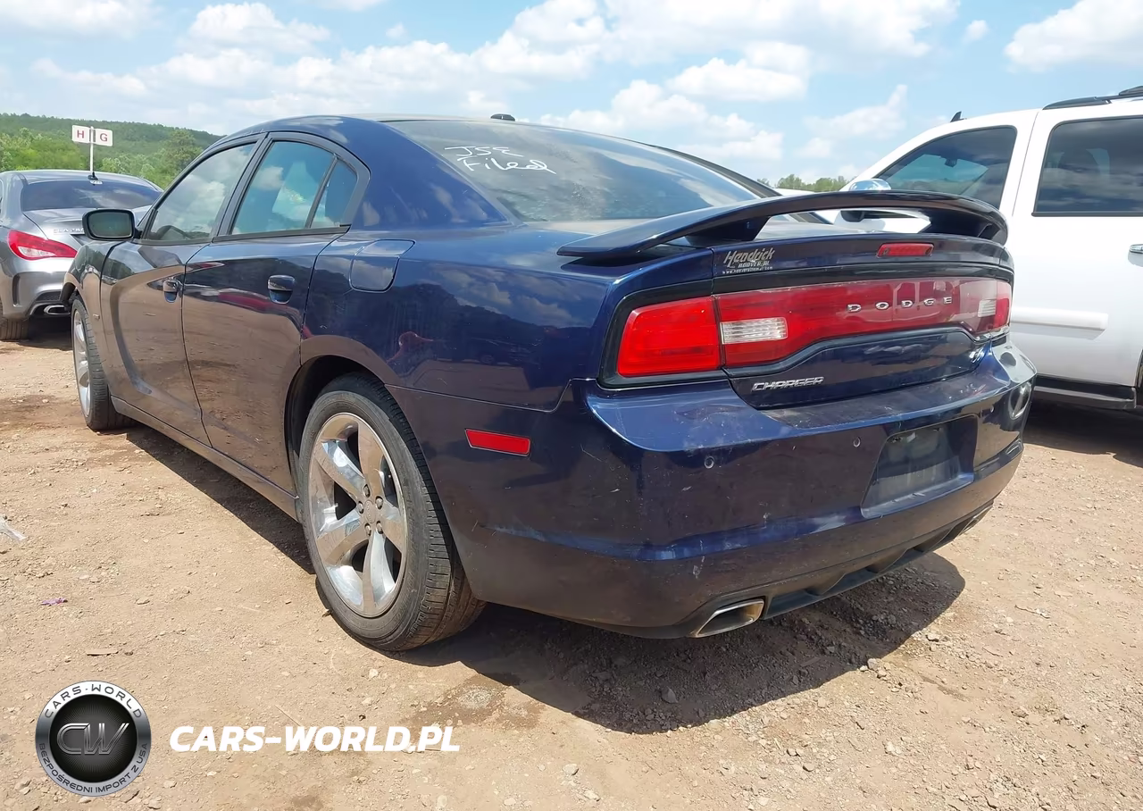 2014 Dodge Charger R-T Max VIN:2C3CDXCT5EH155313 - 3
