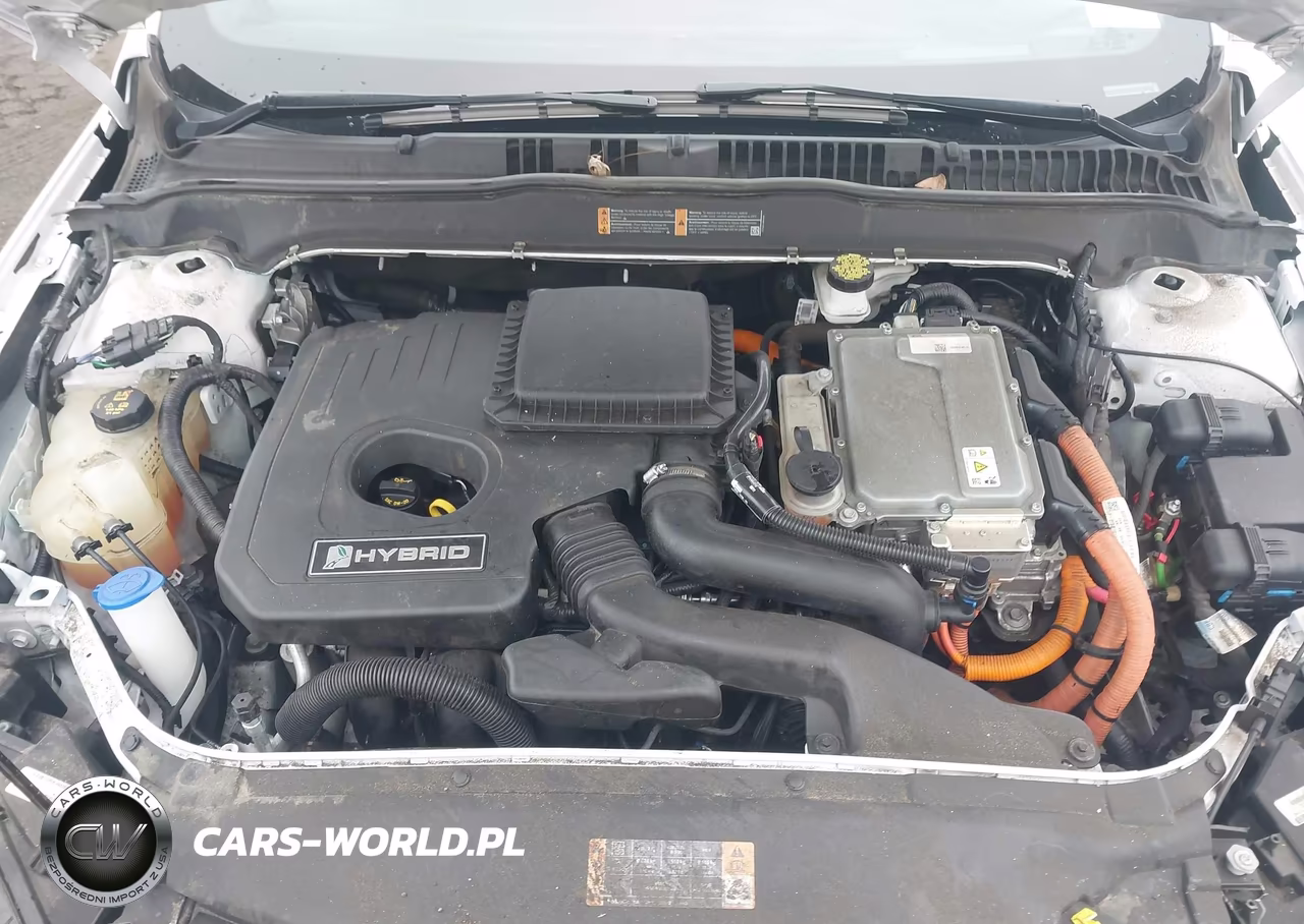 2019 Ford Fusion Hybrid Titanium VIN:3FA6P0RU9KR212786 - 10