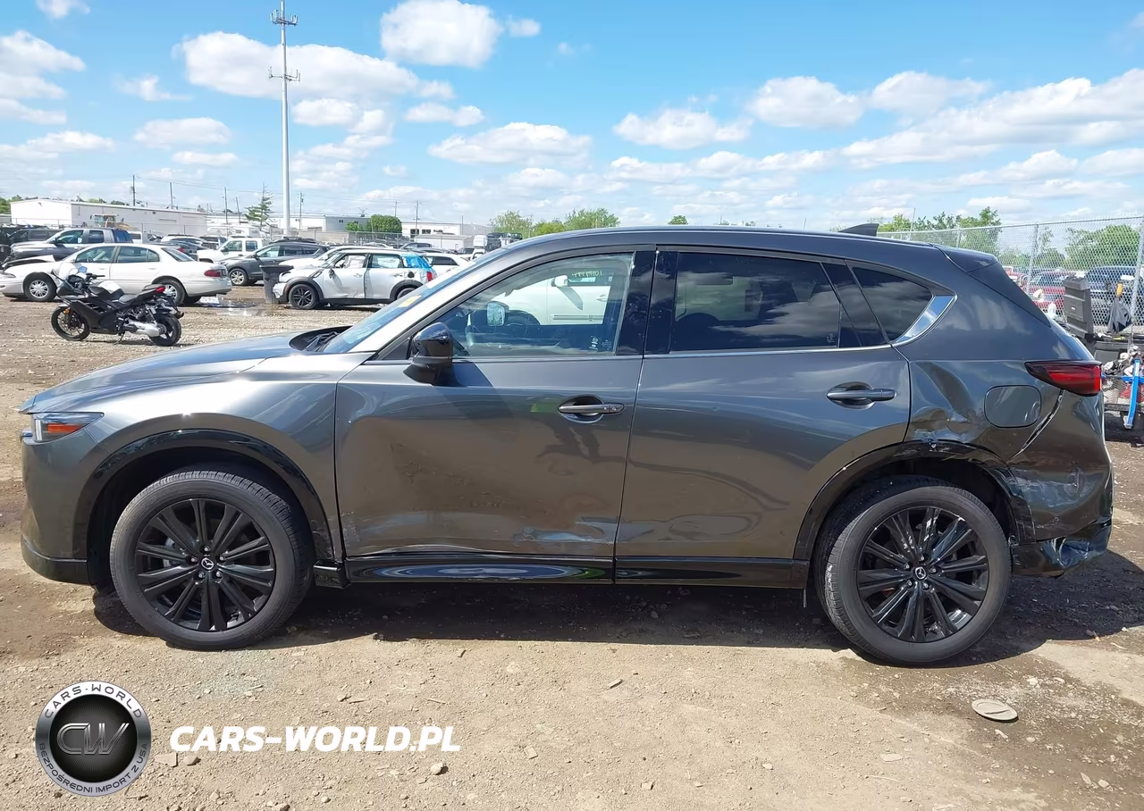2025 Mazda Cx-5 2.5 Turbo Premium VIN:JM3KFBDY5S0607413 - 14