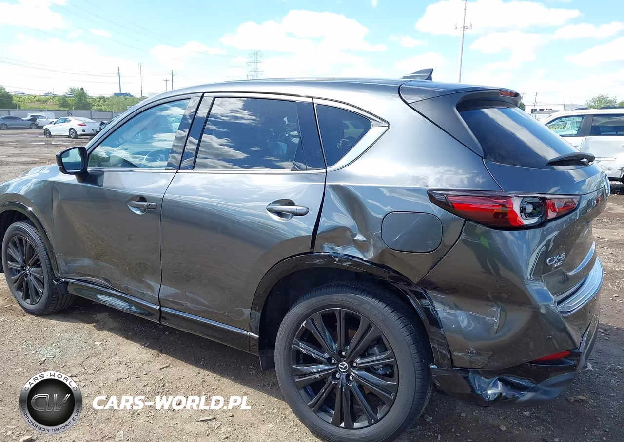 2025 Mazda Cx-5 2.5 Turbo Premium VIN:JM3KFBDY5S0607413 - 6