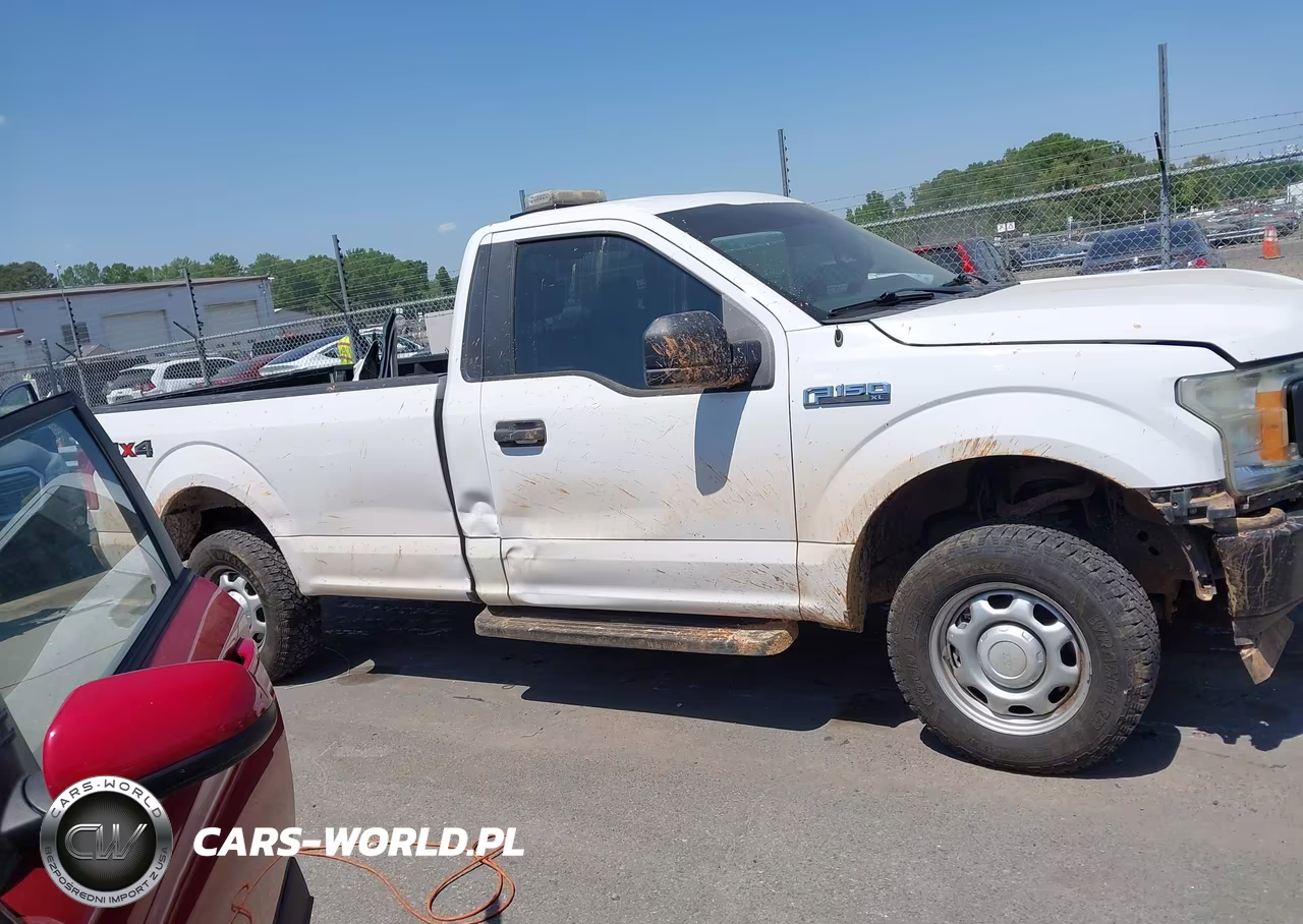 2019 Ford F-150 Xl VIN:1FTMF1EB8KKD75822 - 13