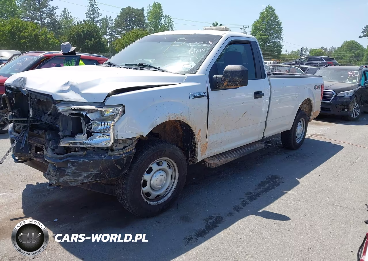 2019 Ford F-150 Xl VIN:1FTMF1EB8KKD75822 - 2
