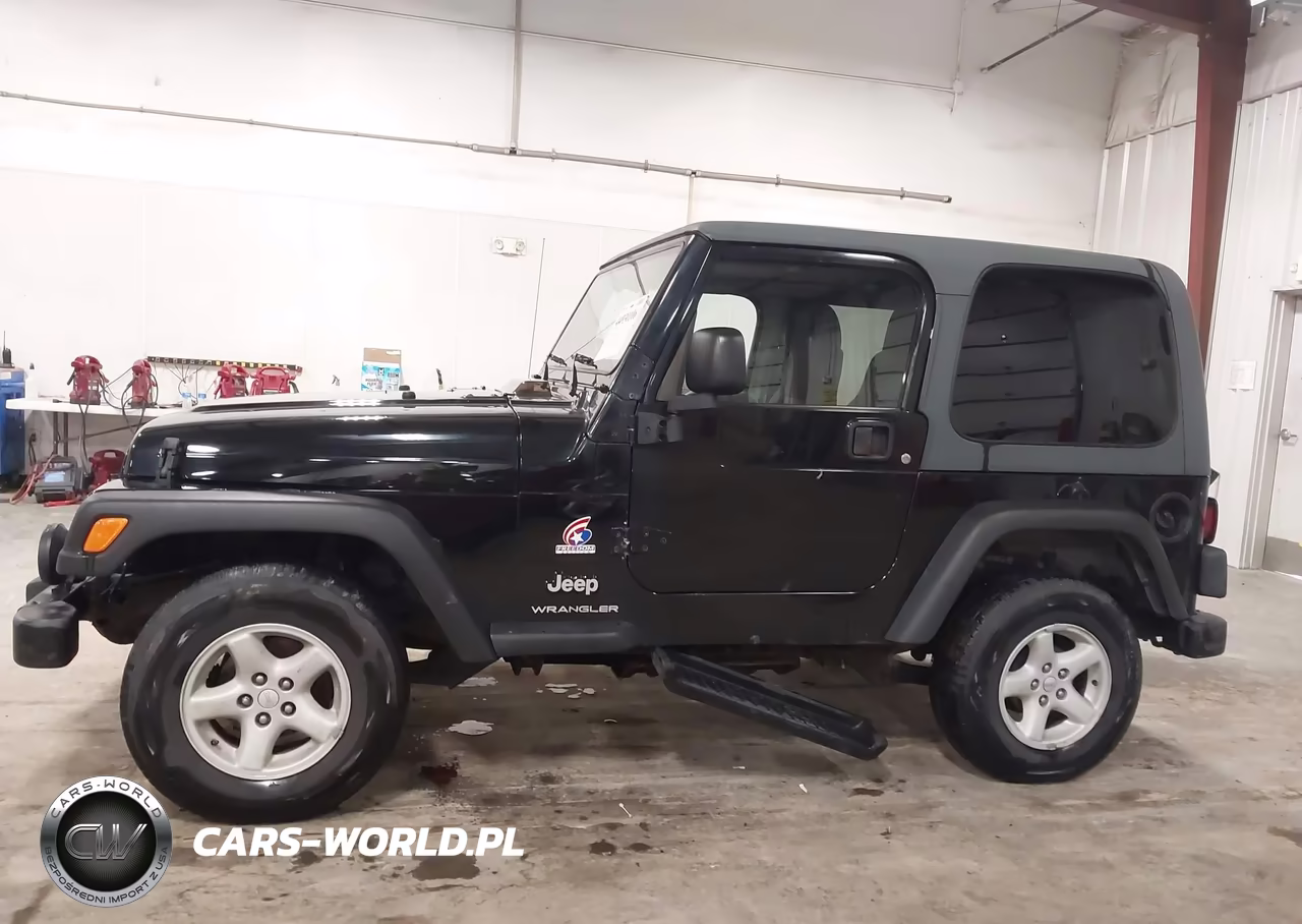 2003 Jeep Wrangler Sport VIN:1J4FA49S63P355036 - 14