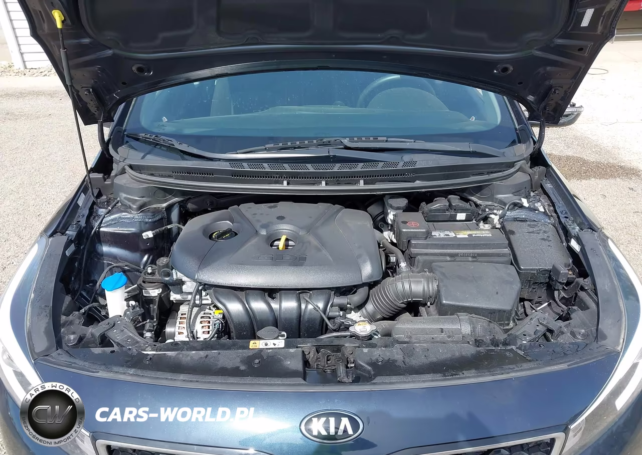 2017 Kia Forte Lx VIN:KNAFK5A89H5687996 - 10
