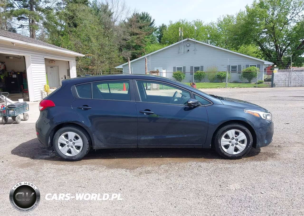 2017 Kia Forte Lx VIN:KNAFK5A89H5687996 - 13