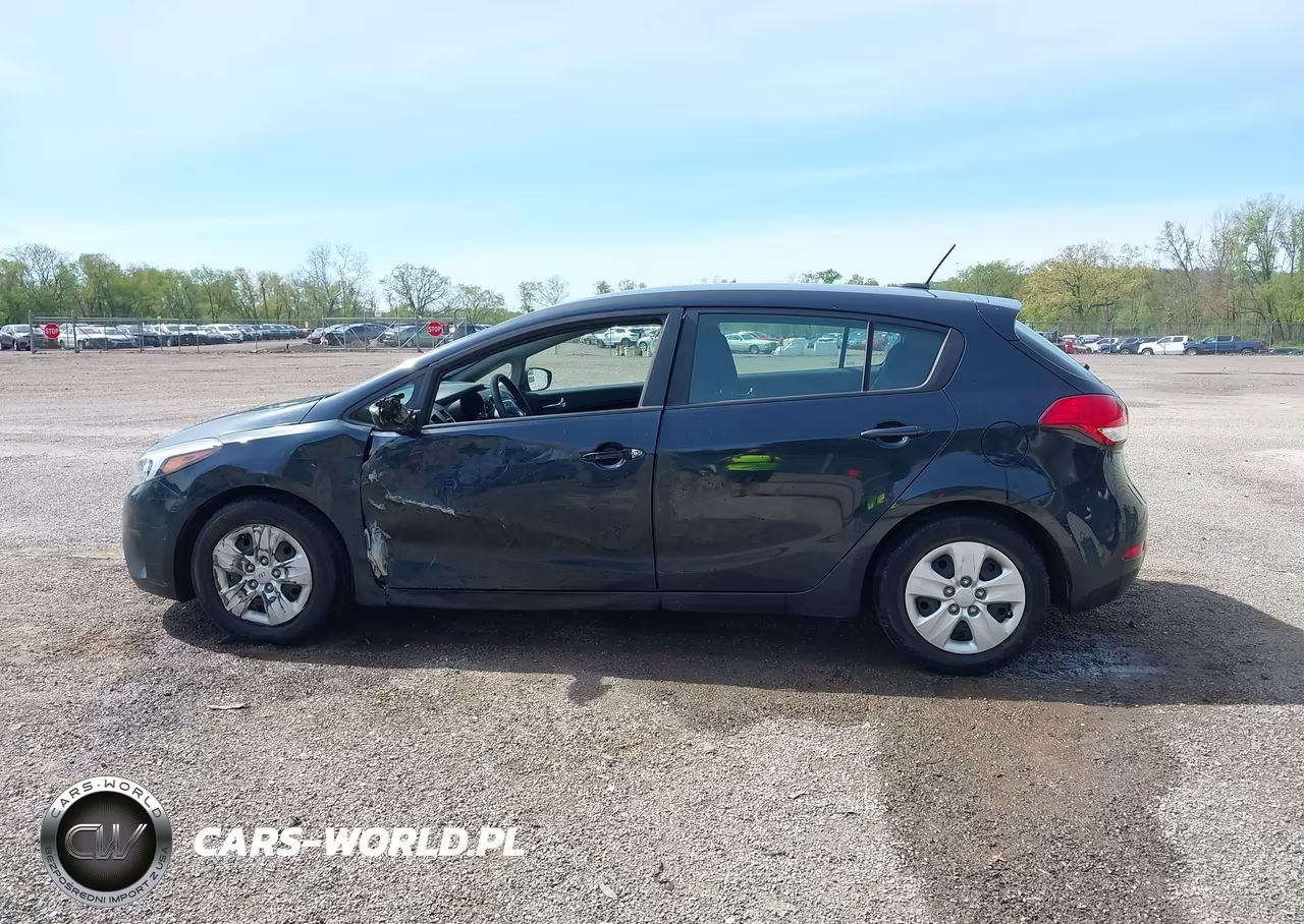 2017 Kia Forte Lx VIN:KNAFK5A89H5687996 - 14