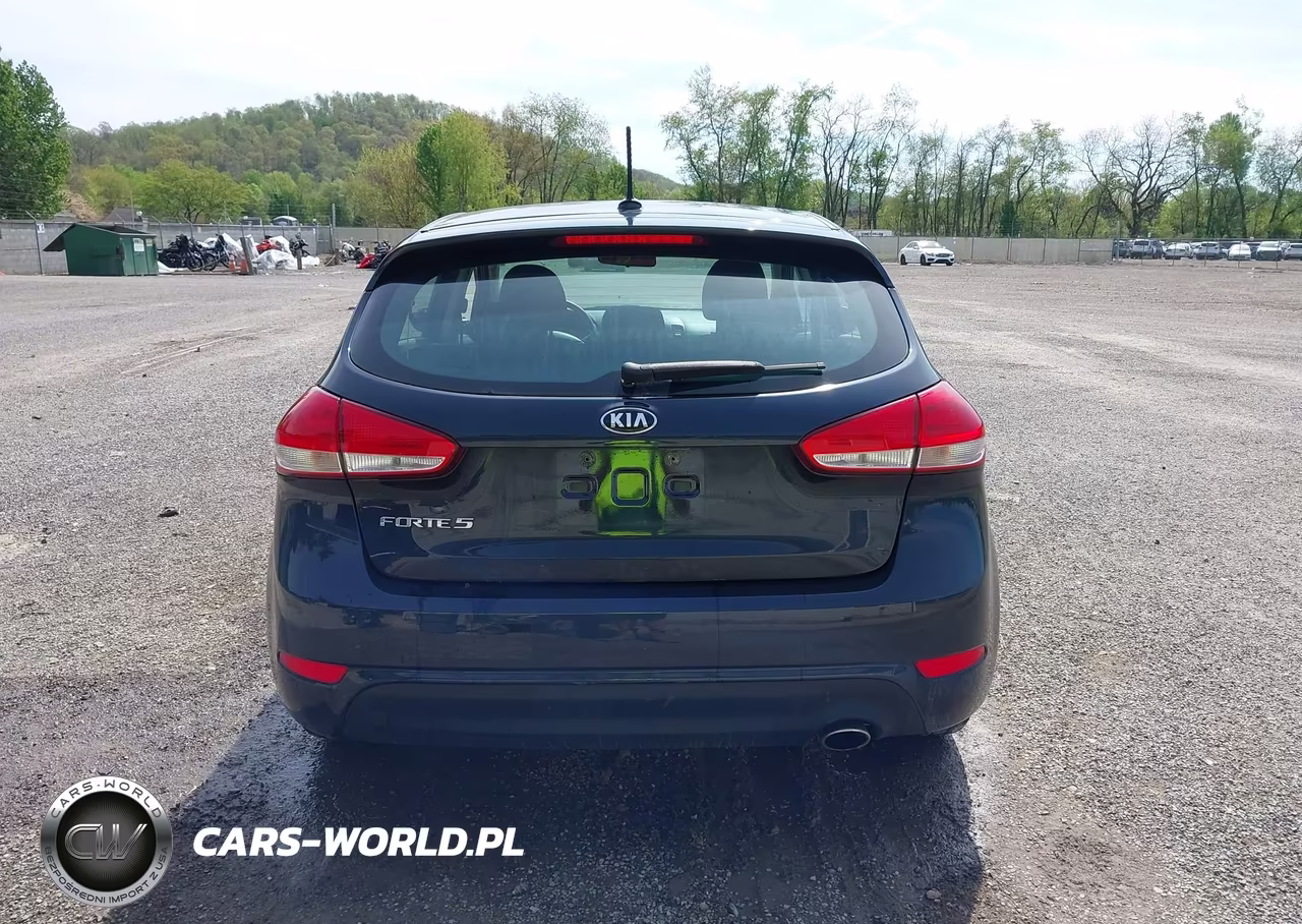 2017 Kia Forte Lx VIN:KNAFK5A89H5687996 - 16