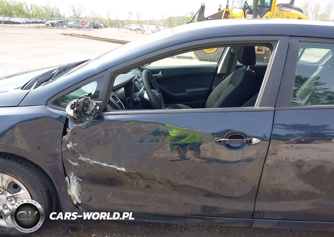 2017 Kia Forte Lx VIN:KNAFK5A89H5687996 - 17