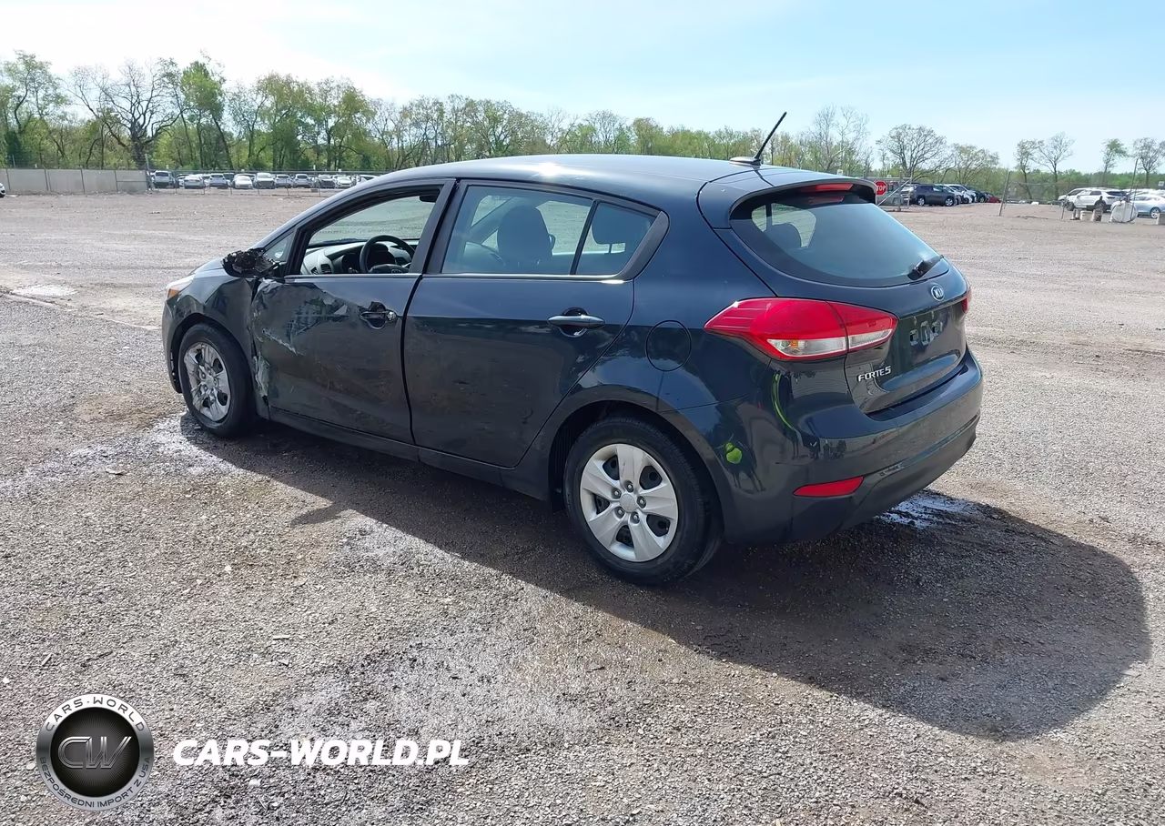 2017 Kia Forte Lx VIN:KNAFK5A89H5687996 - 3