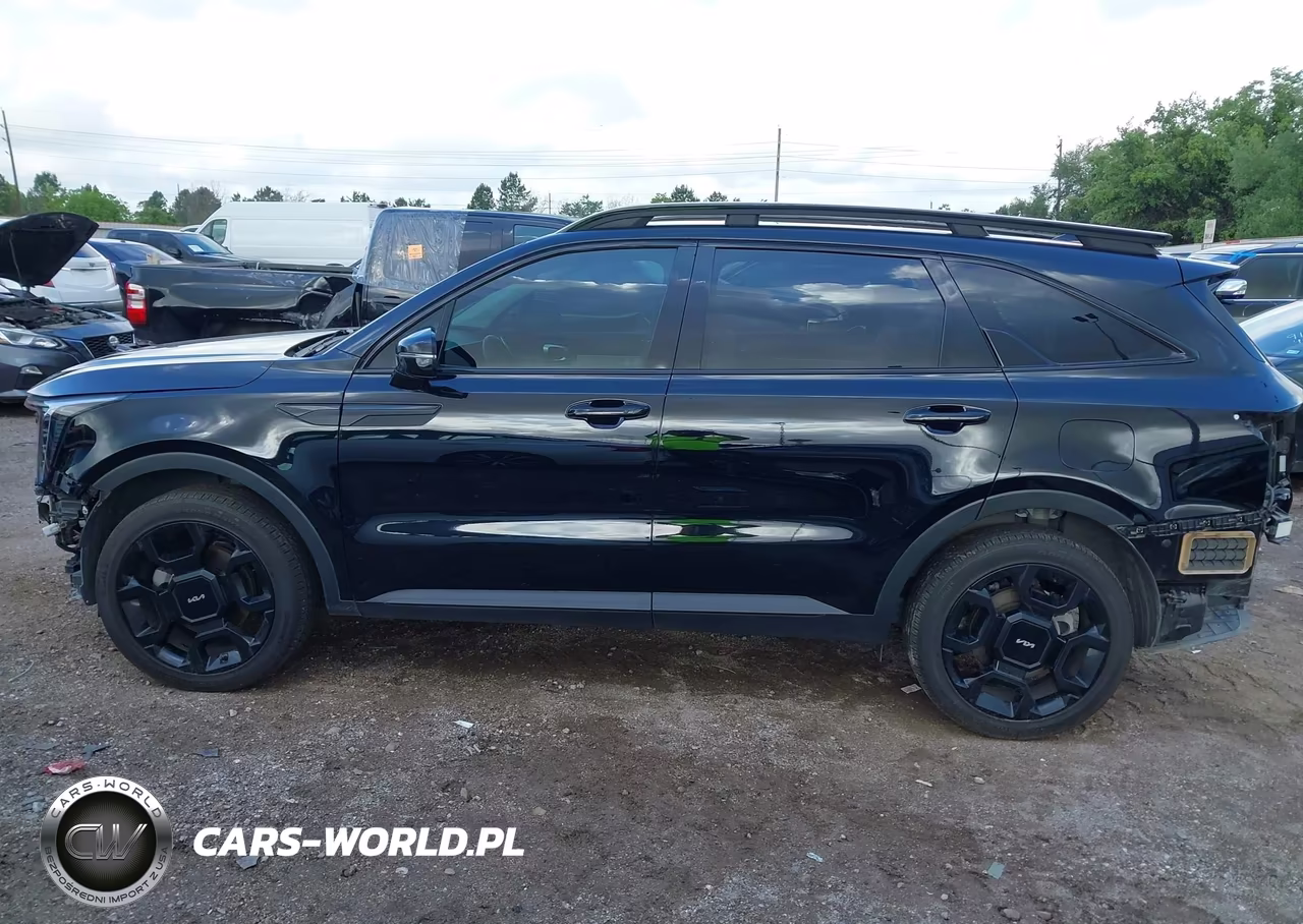 2024 Kia Sorento X-Line Ex VIN:5XYRHDJF4RG291183 - 15