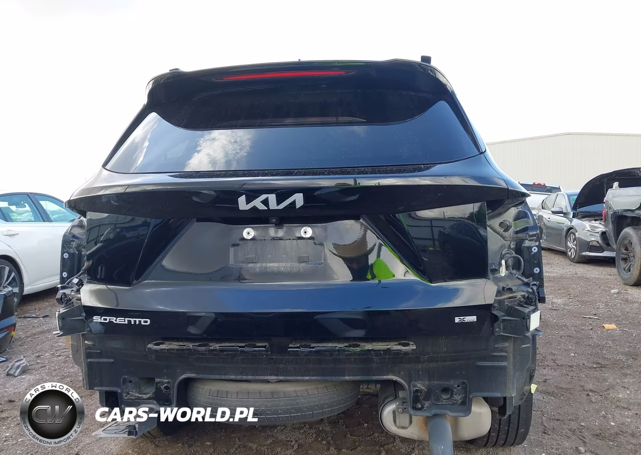 2024 Kia Sorento X-Line Ex VIN:5XYRHDJF4RG291183 - 17