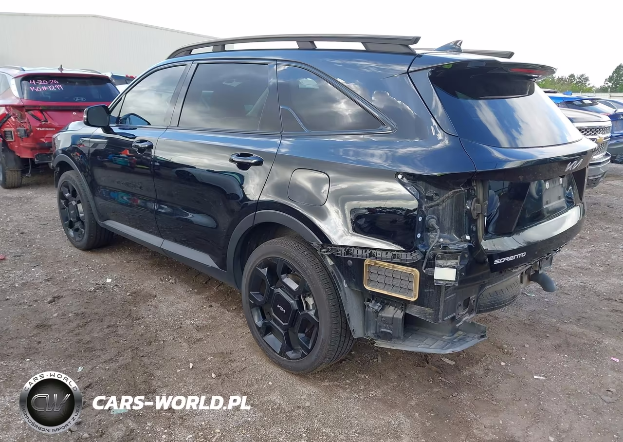 2024 Kia Sorento X-Line Ex VIN:5XYRHDJF4RG291183 - 3