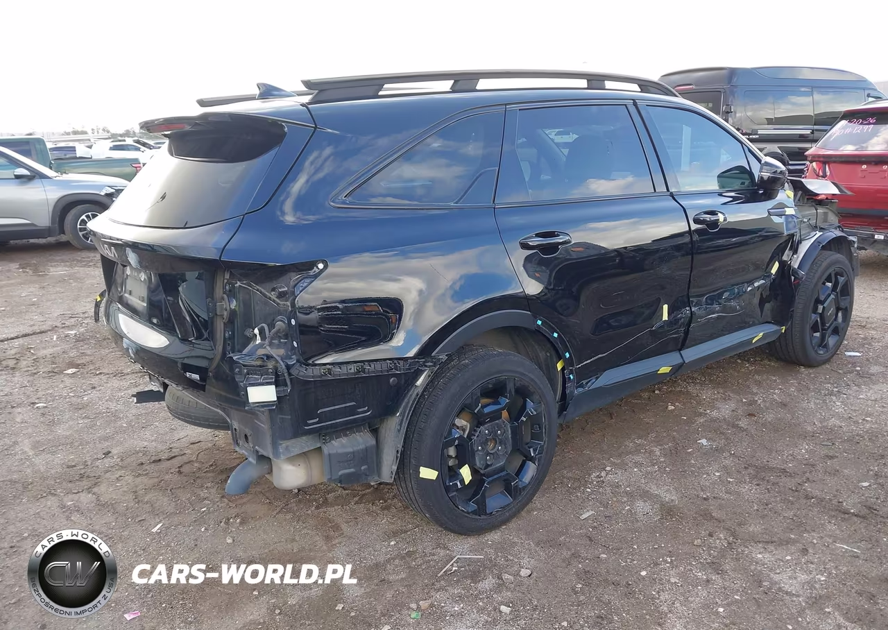 2024 Kia Sorento X-Line Ex VIN:5XYRHDJF4RG291183 - 4