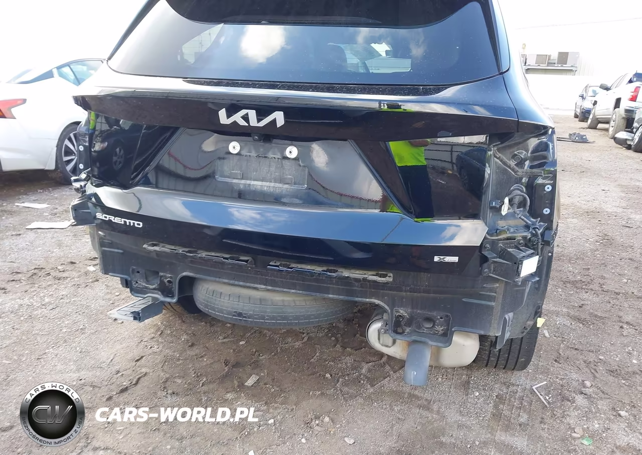 2024 Kia Sorento X-Line Ex VIN:5XYRHDJF4RG291183 - 6