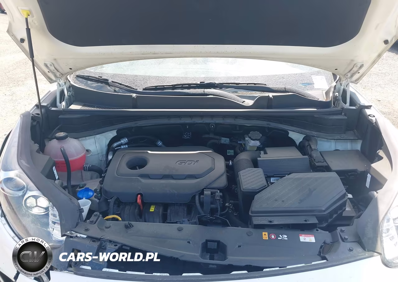 2022 Kia Sportage Lx VIN:KNDPM3AC9N7025278 - 10