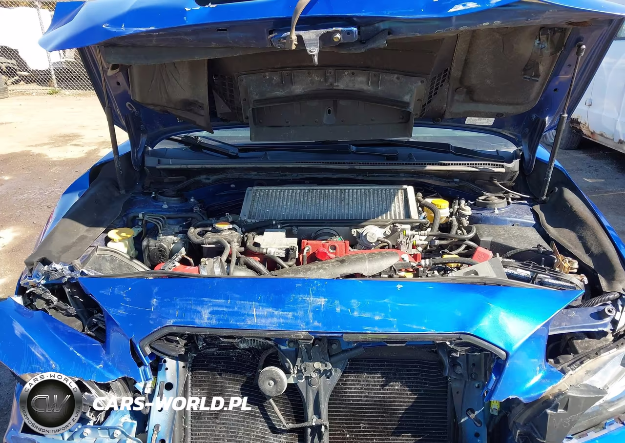 2019 Subaru Wrx Sti VIN:JF1VA2R61K9818167 - 10