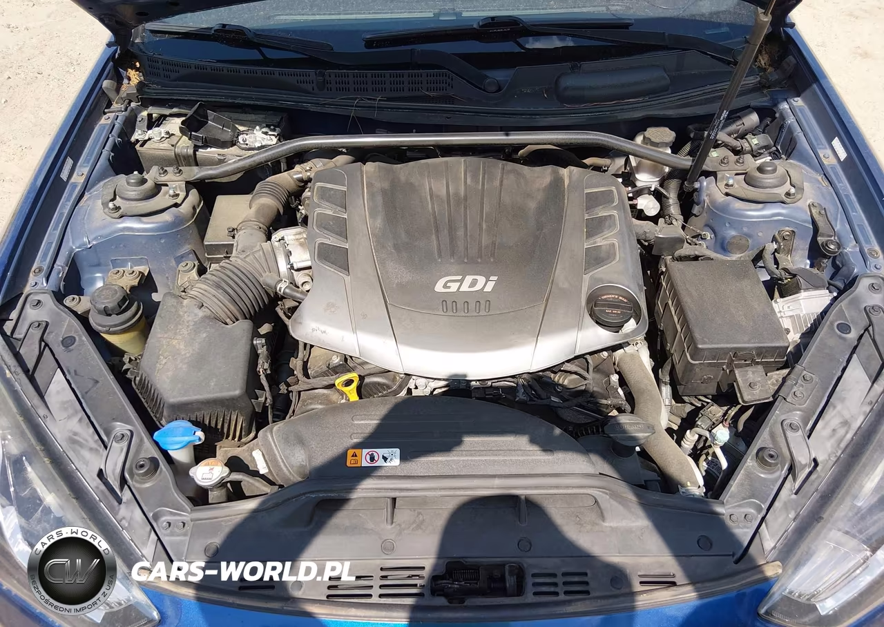 2015 Hyundai Genesis 3.8 Ultimate VIN:KMHHU6KJ2FU130360 - 10