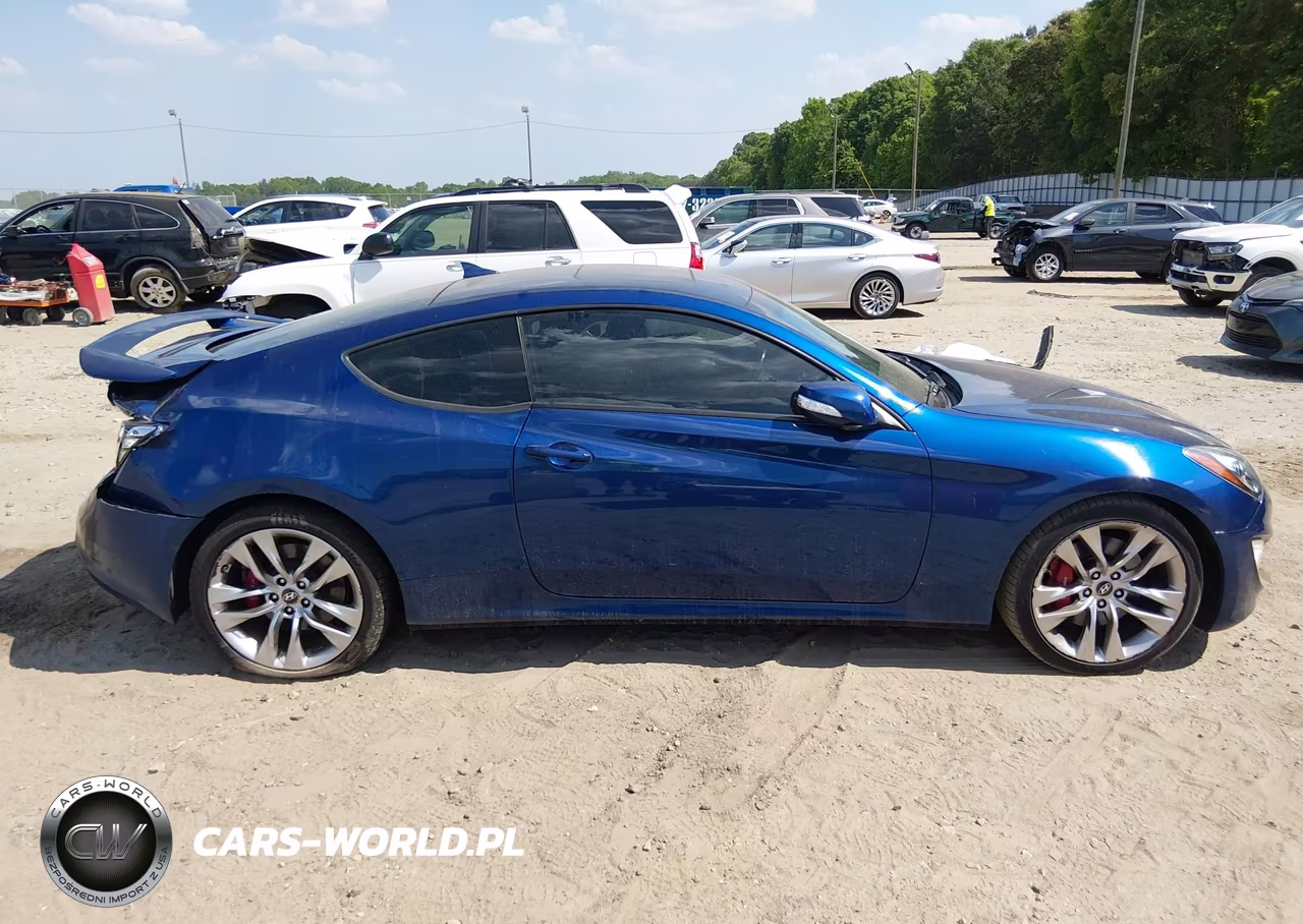 2015 Hyundai Genesis 3.8 Ultimate VIN:KMHHU6KJ2FU130360 - 13