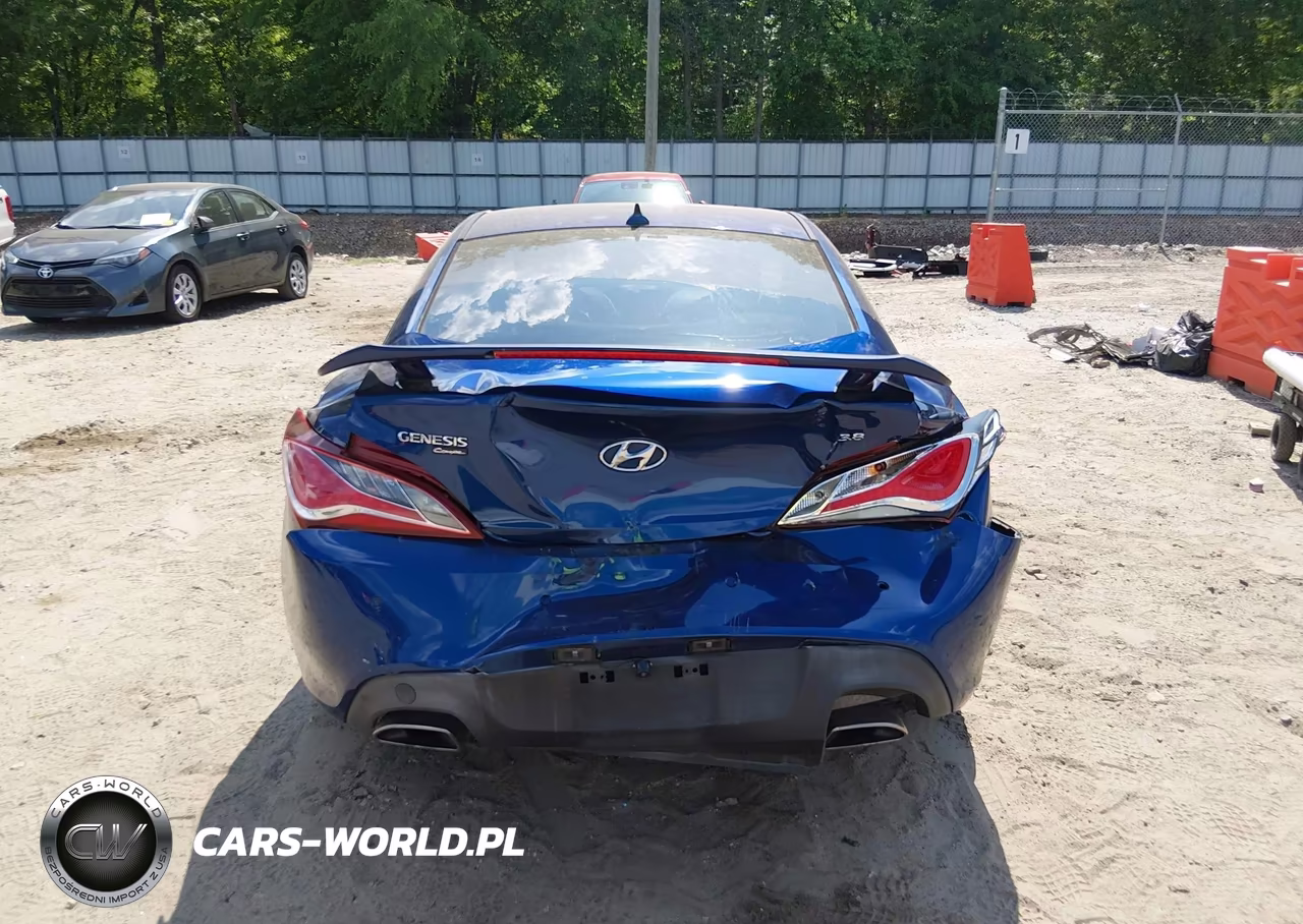 2015 Hyundai Genesis 3.8 Ultimate VIN:KMHHU6KJ2FU130360 - 16