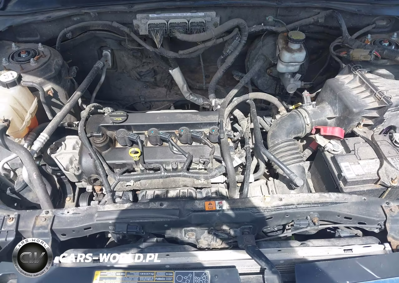 2011 Ford Escape Xlt VIN:1FMCU0D74BKC60686 - 10