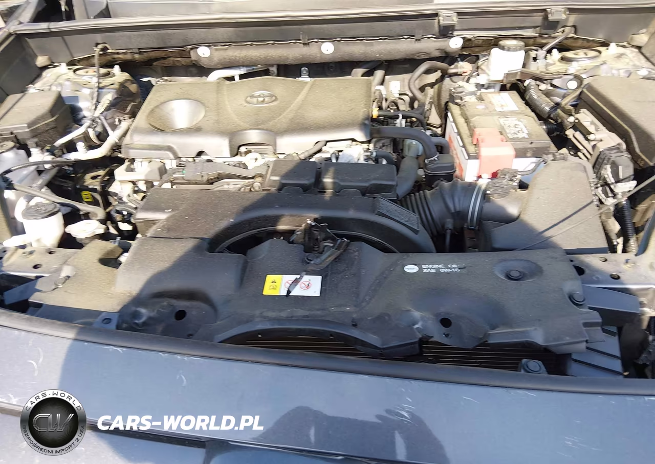 2020 Toyota Rav4 Xle VIN:2T3P1RFV9LC068205 - 10
