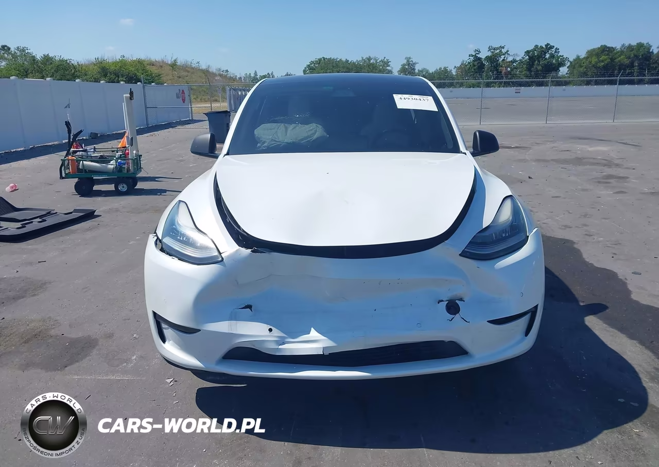 2021 Tesla Model Y Standard Range Rear-Wheel Drive VIN:5YJYGDED2MF174998 - 12