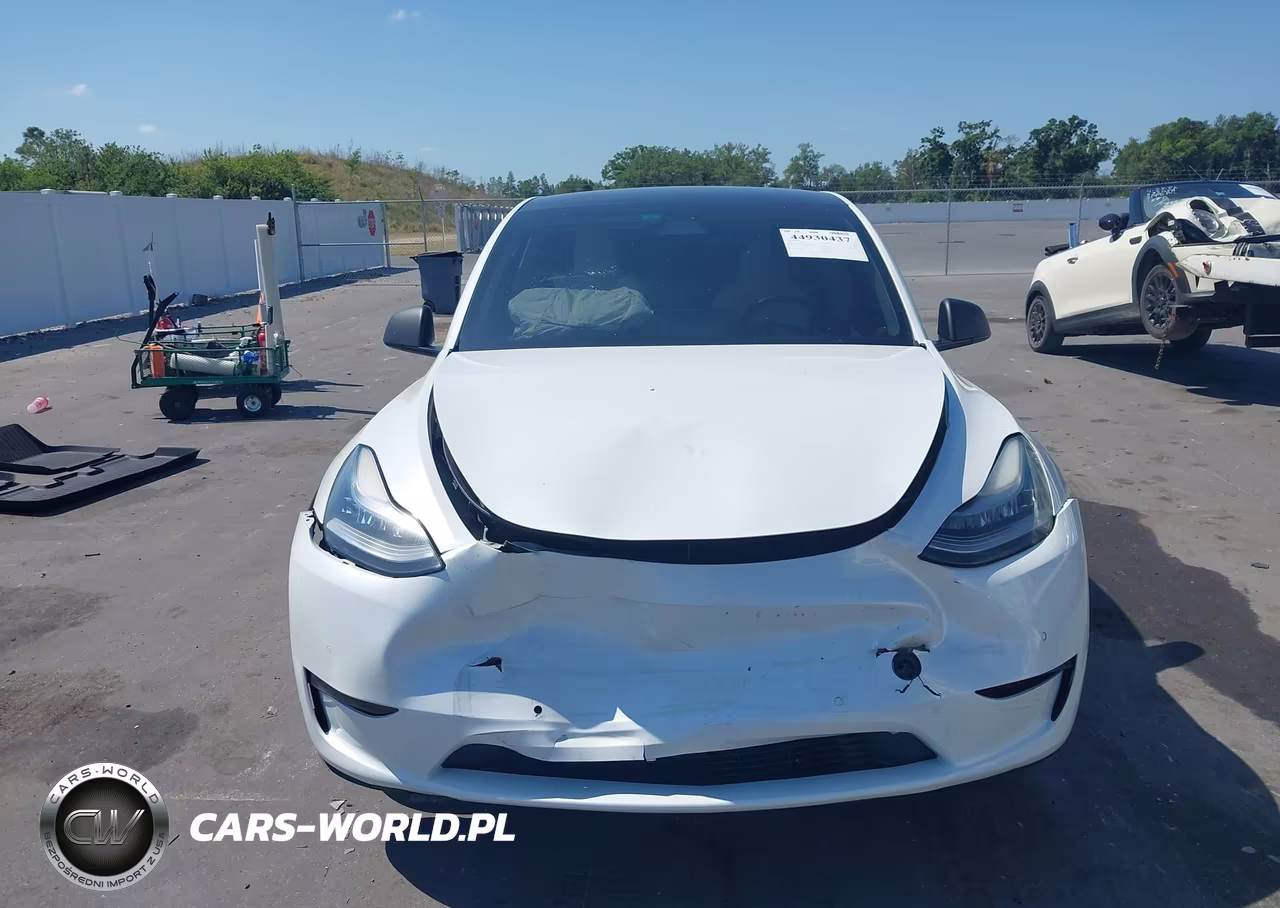 2021 Tesla Model Y Standard Range Rear-Wheel Drive VIN:5YJYGDED2MF174998 - 6