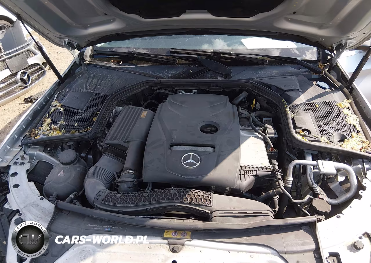 2017 Mercedes-Benz C 300 4Matic VIN:55SWF4KB5HU211561 - 10