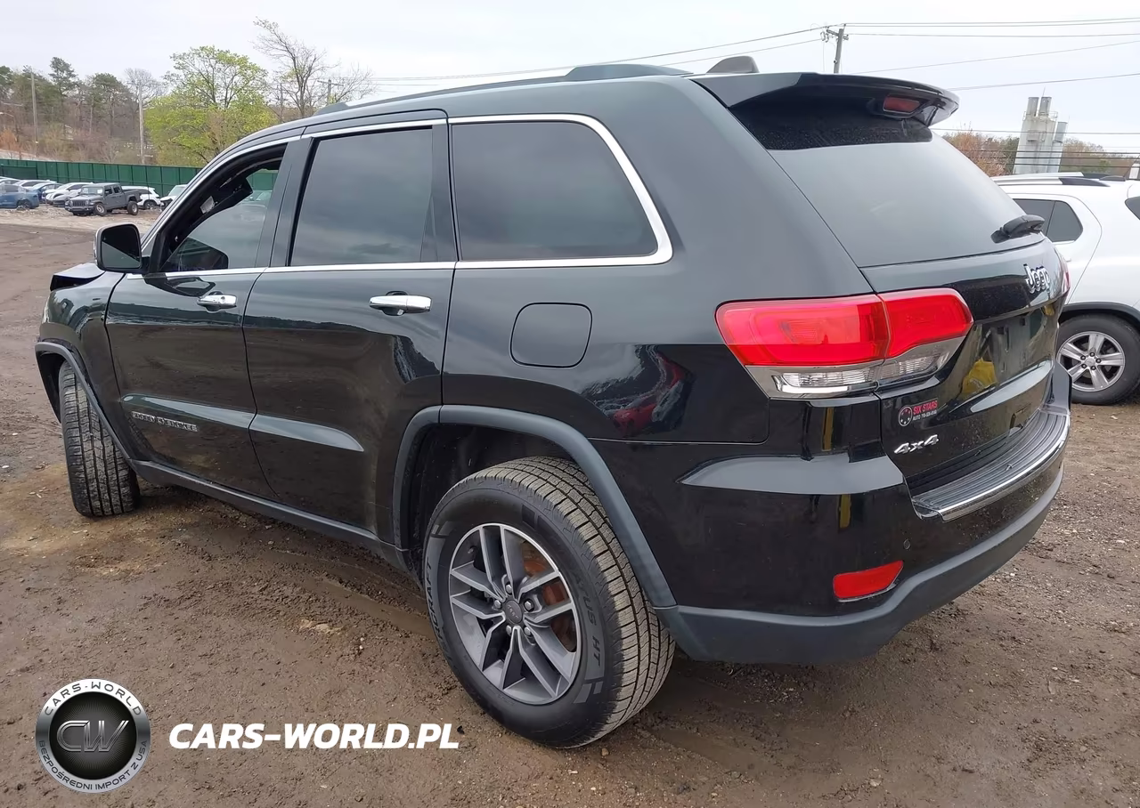 2019 Jeep Grand Cherokee Limited 4X4 VIN:1C4RJFBG8KC653730 - 3