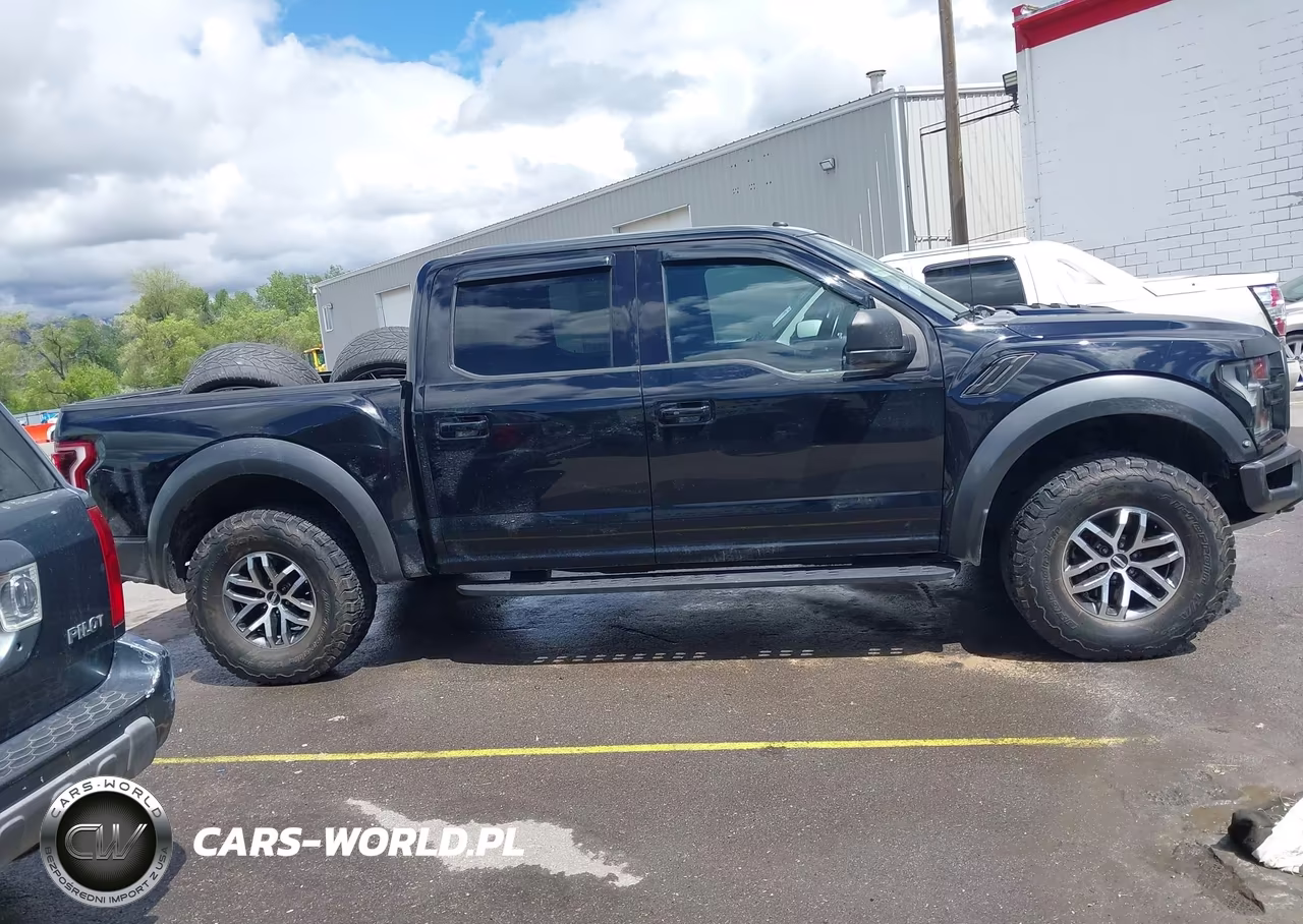 2017 Ford F-150 Raptor VIN:1FTFW1RG6HFB33661 - 13