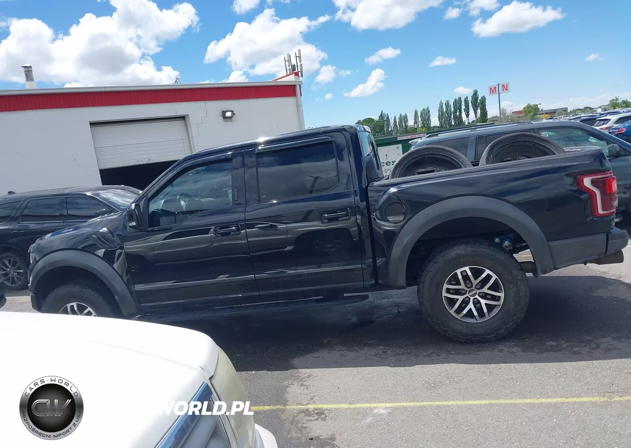 2017 Ford F-150 Raptor VIN:1FTFW1RG6HFB33661 - 14