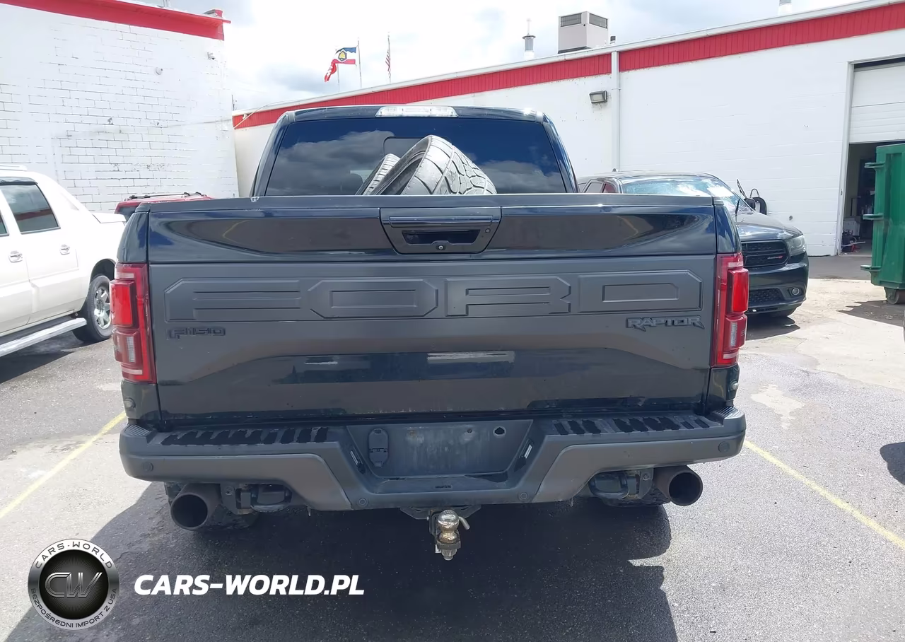 2017 Ford F-150 Raptor VIN:1FTFW1RG6HFB33661 - 16
