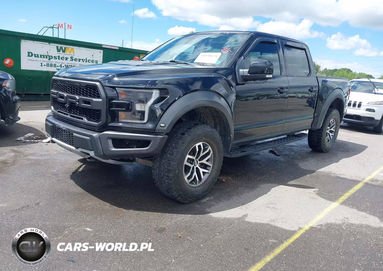 2017 Ford F-150 Raptor VIN:1FTFW1RG6HFB33661 - 2