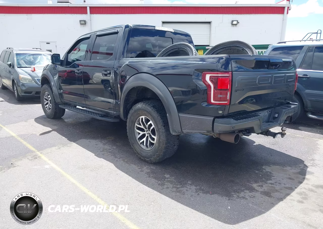2017 Ford F-150 Raptor VIN:1FTFW1RG6HFB33661 - 3