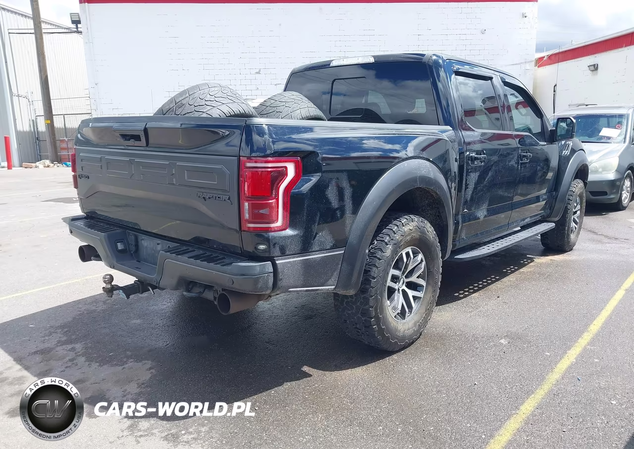 2017 Ford F-150 Raptor VIN:1FTFW1RG6HFB33661 - 4