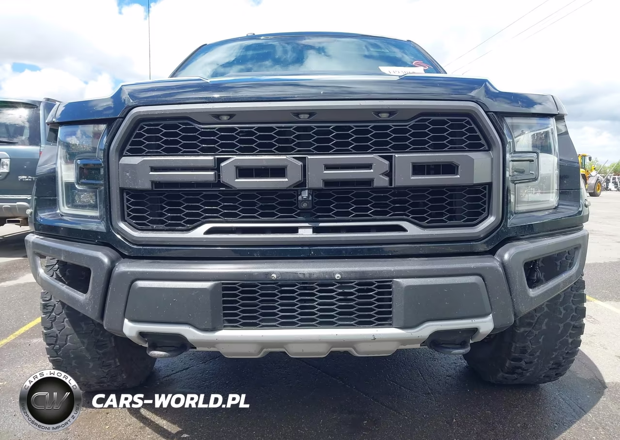 2017 Ford F-150 Raptor VIN:1FTFW1RG6HFB33661 - 6