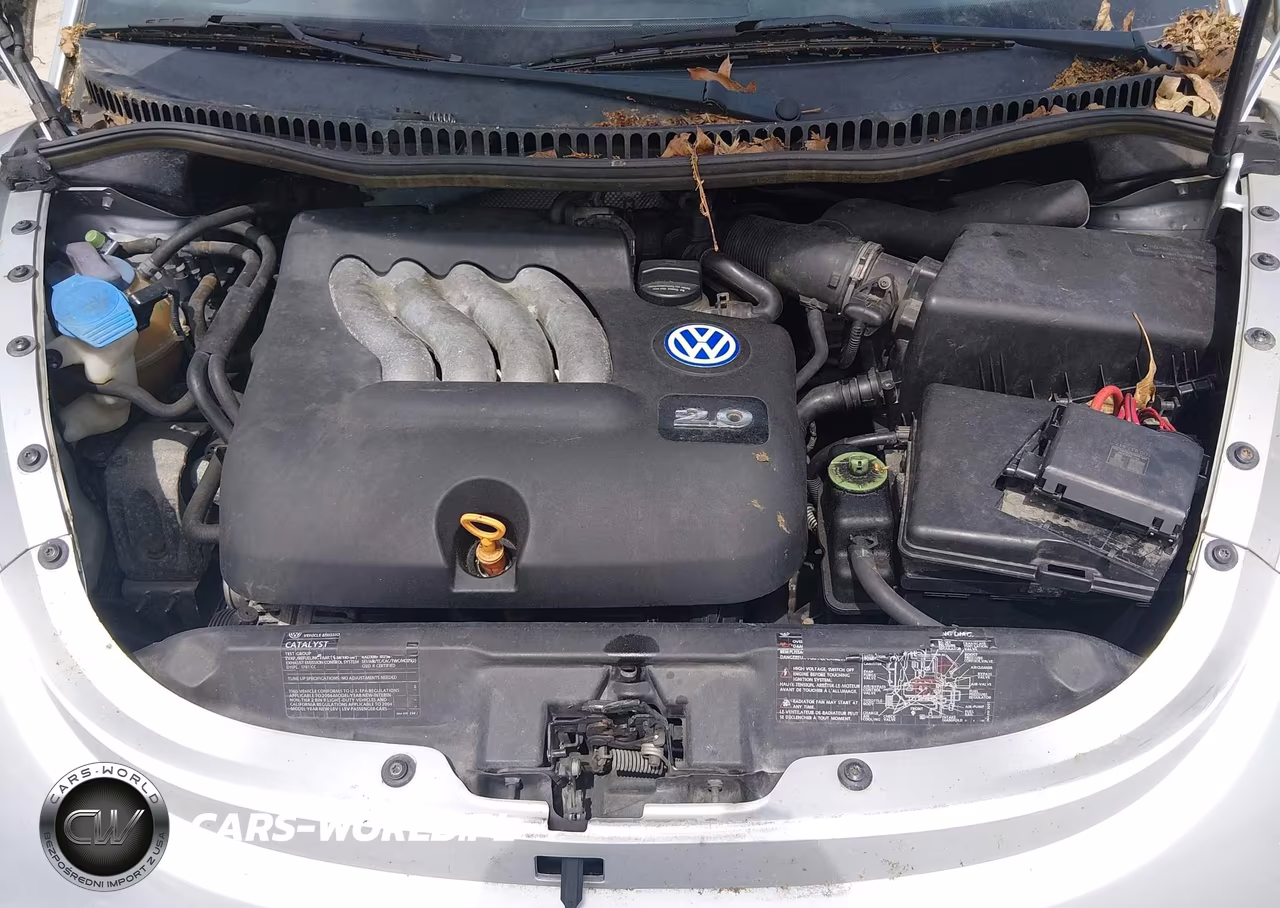 2002 Volkswagen New Beetle Gls VIN:3VWCB21C12M416843 - 10