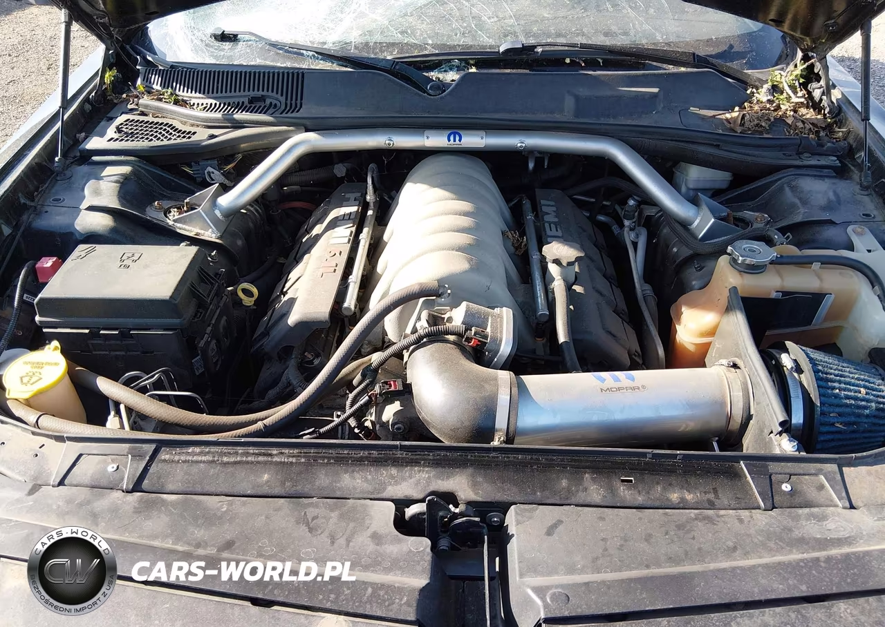 2010 Dodge Challenger Srt8 VIN:2B3CJ7DW1AH113990 - 10