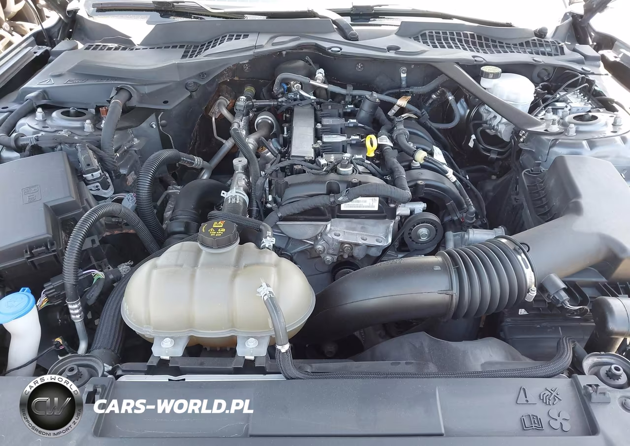 2022 Ford Mustang Ecoboost Premium VIN:1FATP8UH0N5120338 - 10