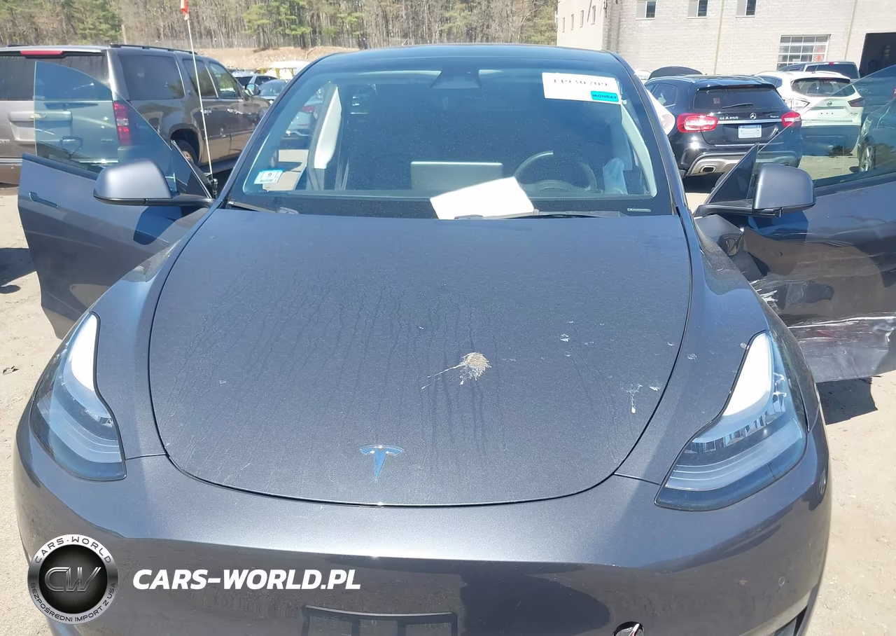 2022 Tesla Model Y Long Range Dual Motor All-Wheel Drive VIN:7SAYGDEE5NA009067 - 10