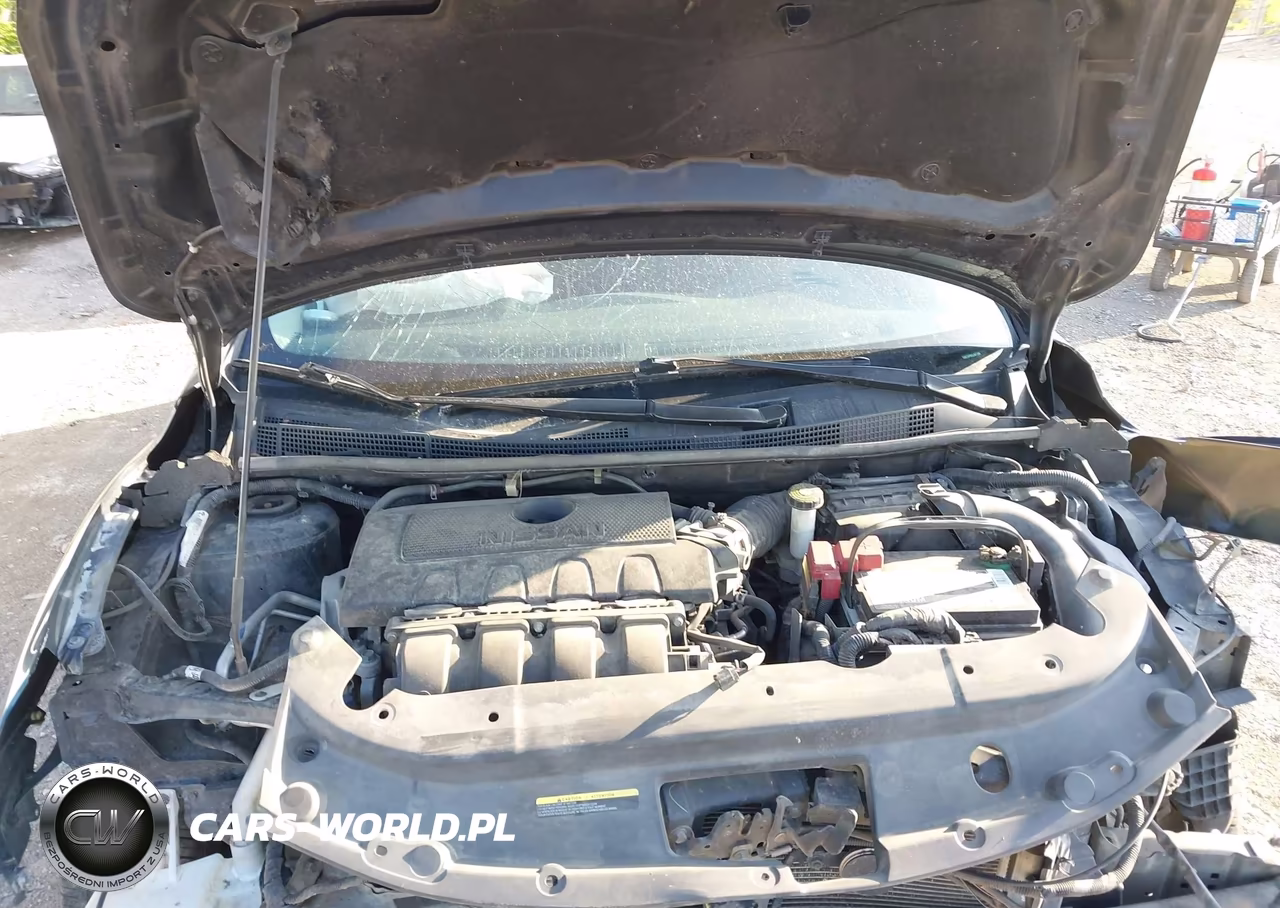 2016 Nissan Sentra Fe+ S-S-Sl-Sr-Sv VIN:3N1AB7AP8GL641366 - 10