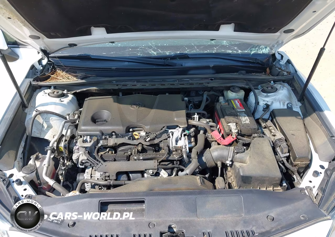 2018 Toyota Camry Se VIN:4T1B11HK8JU597051 - 10