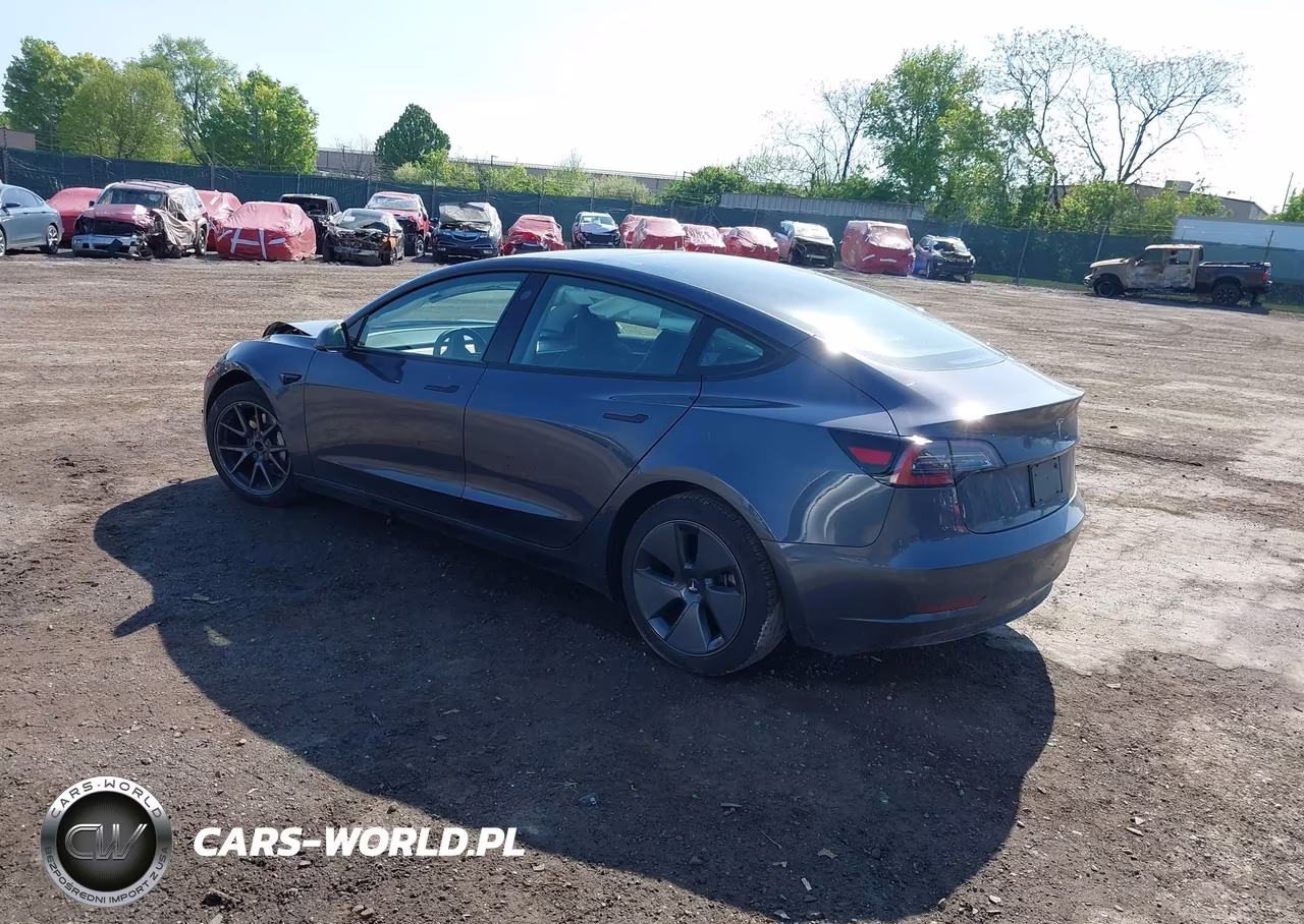 2023 Tesla Model 3 Rear-Wheel Drive VIN:5YJ3E1EA7PF503378 - 3