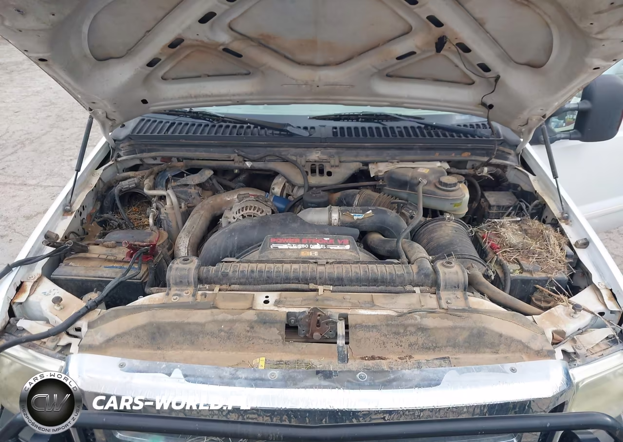 2006 Ford F-250 Lariat-Xl-Xlt VIN:1FTSX20P56EB68287 - 10