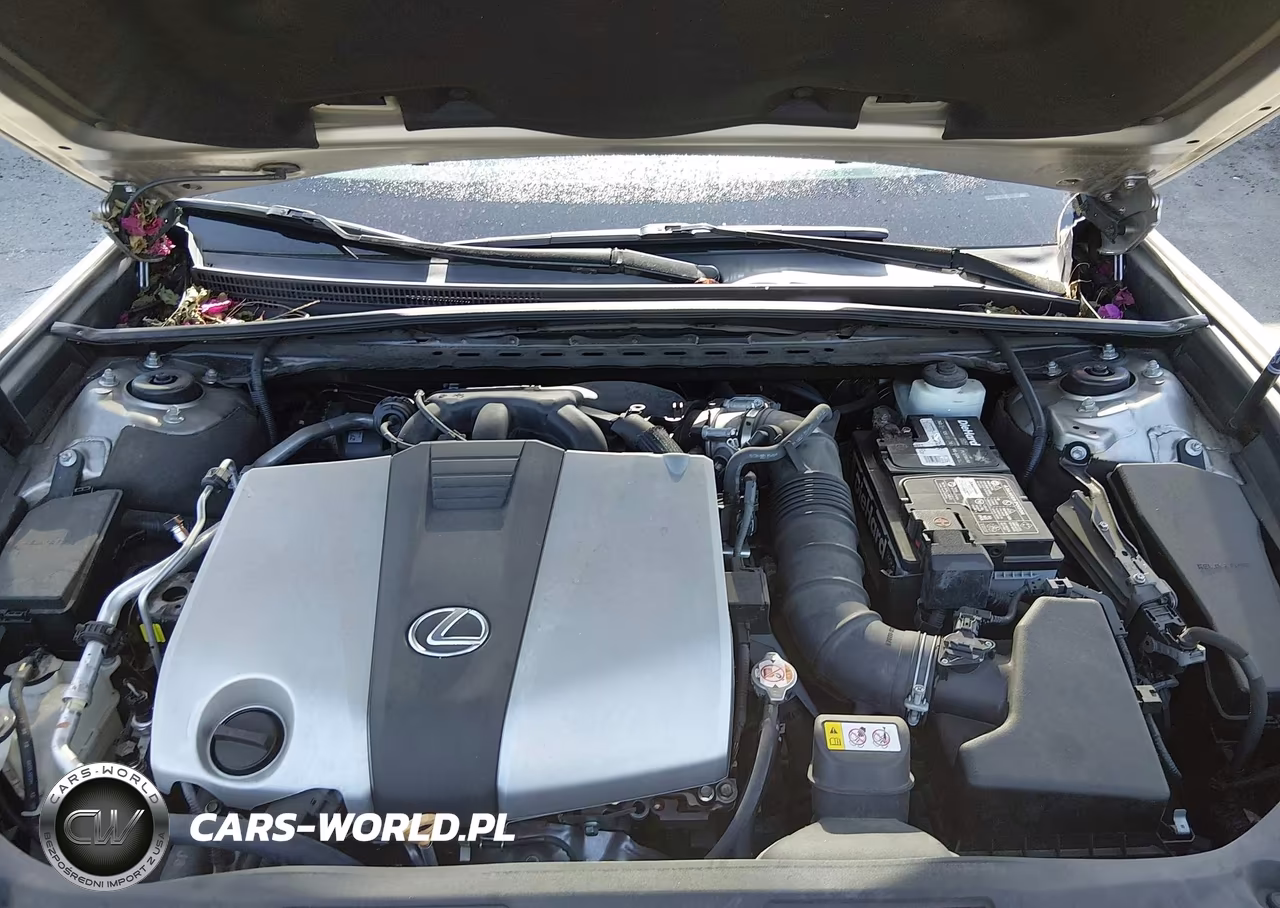 2019 Lexus Es 350 VIN:58ABZ1B11KU031705 - 10