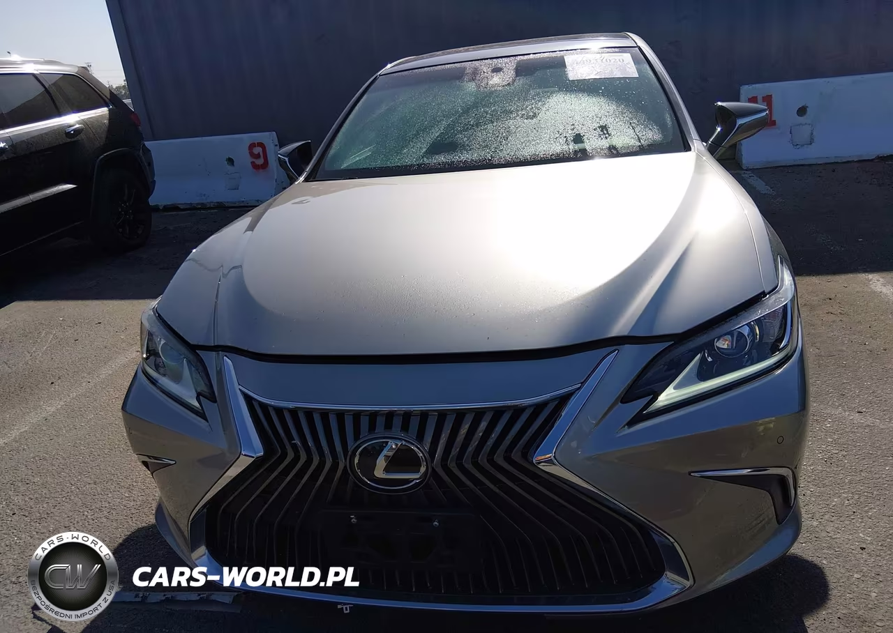 2019 Lexus Es 350 VIN:58ABZ1B11KU031705 - 12
